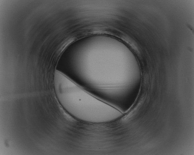 X0000096650801200802050932