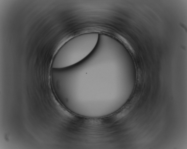 X0000096650802200802050932