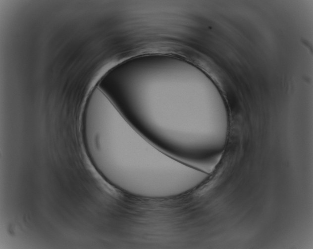X0000096650803200802050932