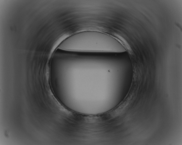 X0000096650804200802050932