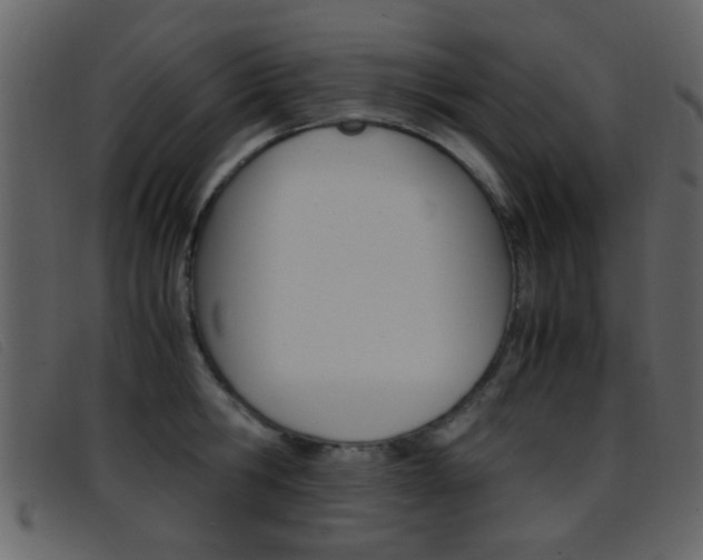 X0000096650806200802050932