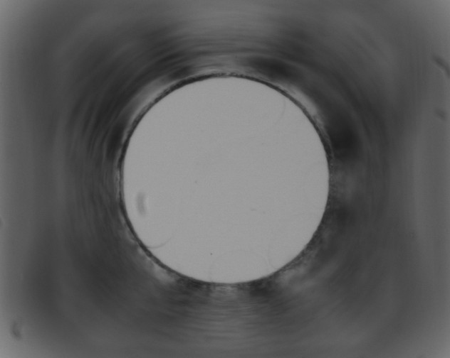X0000096650807200802050932