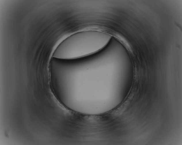 X0000096650808200802050932