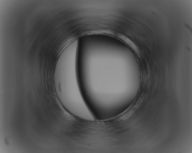 X0000096650809200802050932