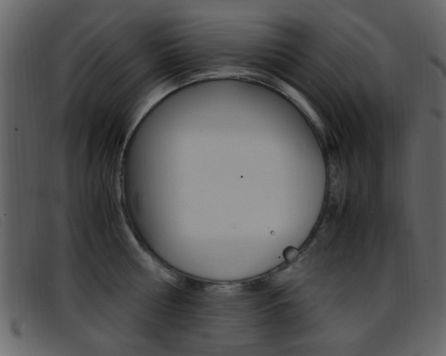 X0000096650810200802050932