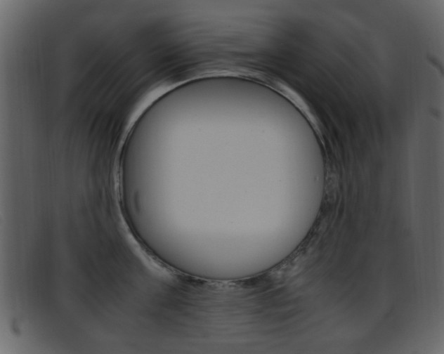 X0000096650811200802050932