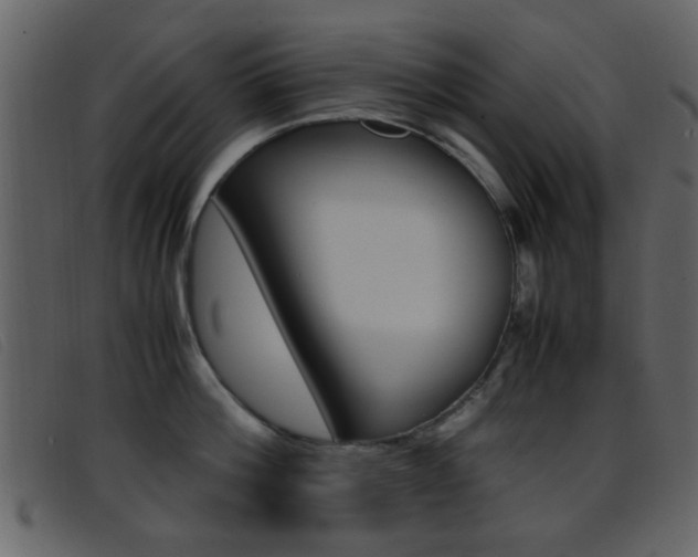 X0000096650812200802050932