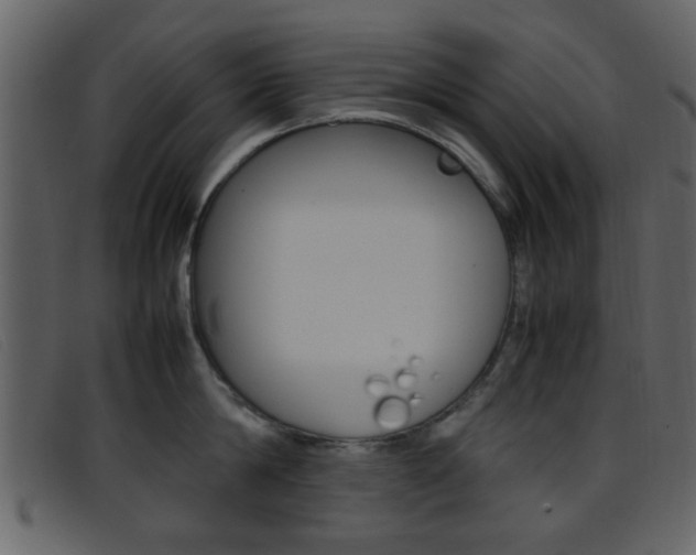X0000096650814200802050932