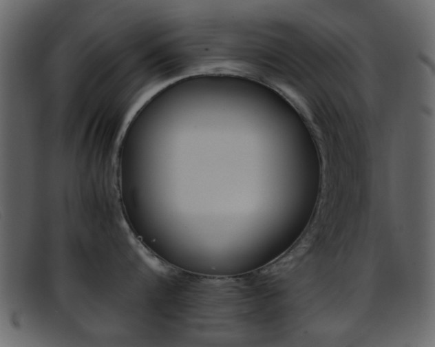 X0000096650816200802050932
