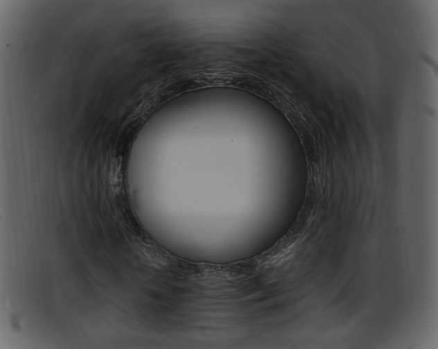 X0000096650818200802050932