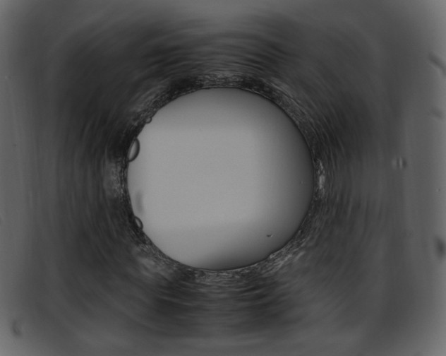 X0000096650819200802050932