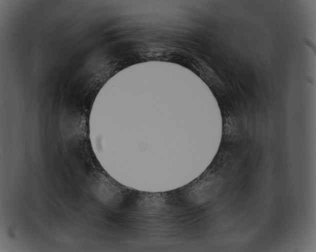 X0000096650820200802050932