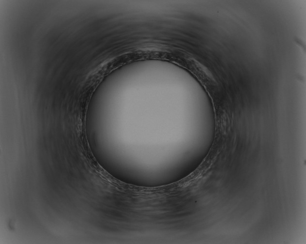 X0000096650821200802050932