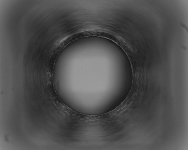 X0000096650822200802050932