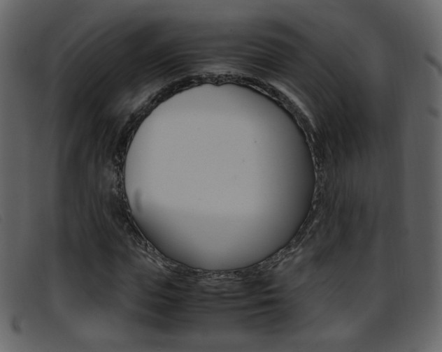 X0000096650823200802050932
