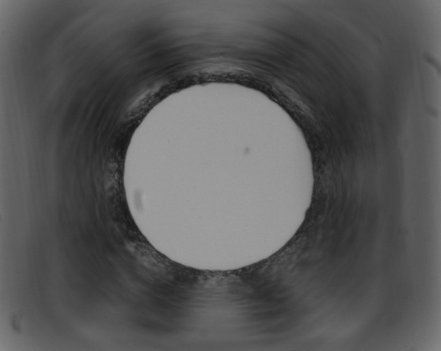 X0000096650824200802050932