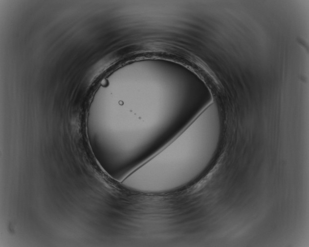 X0000096650826200802050932