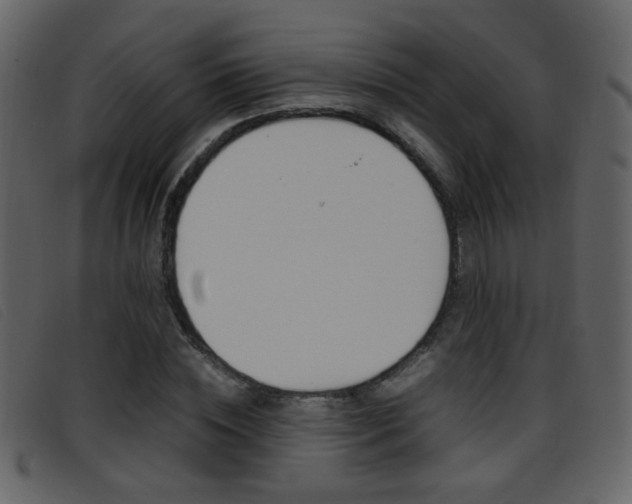 X0000096650828200802050932