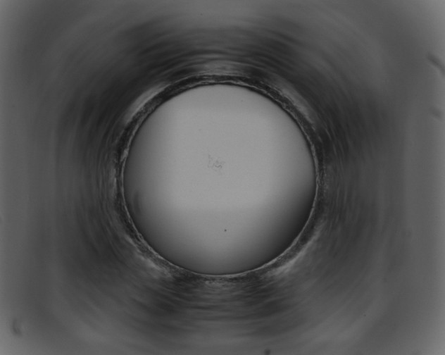 X0000096650829200802050932
