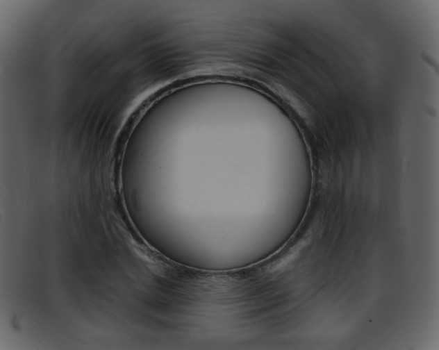 X0000096650830200802050932