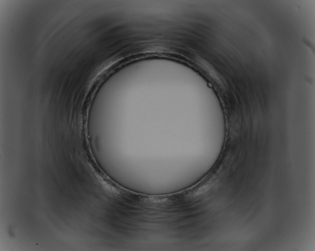 X0000096650831200802050932