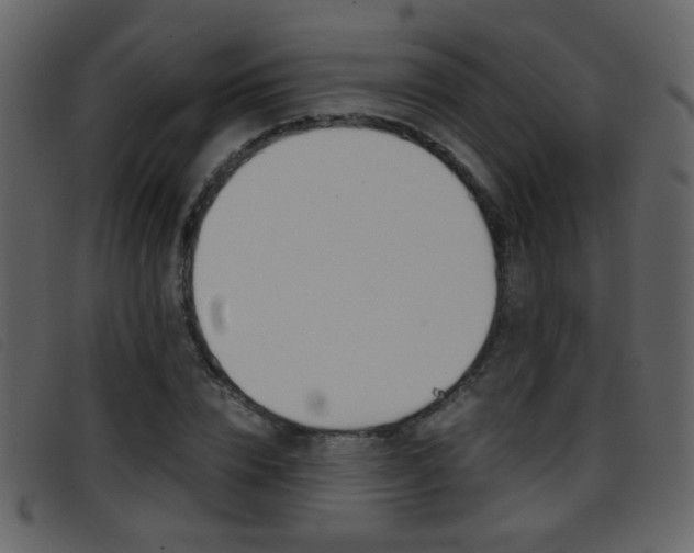 X0000096650832200802050932