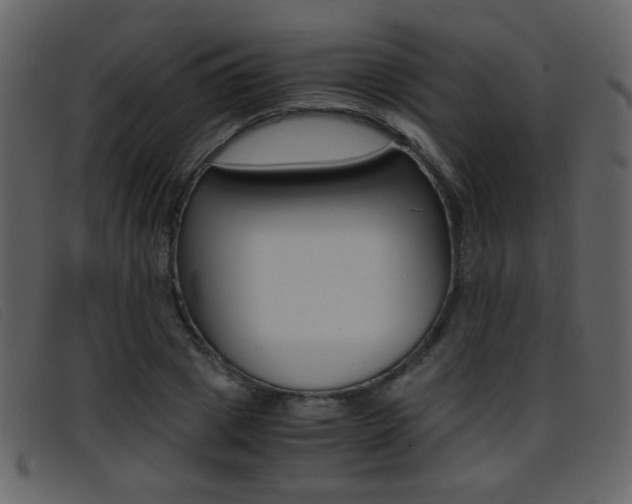 X0000096650833200802050932