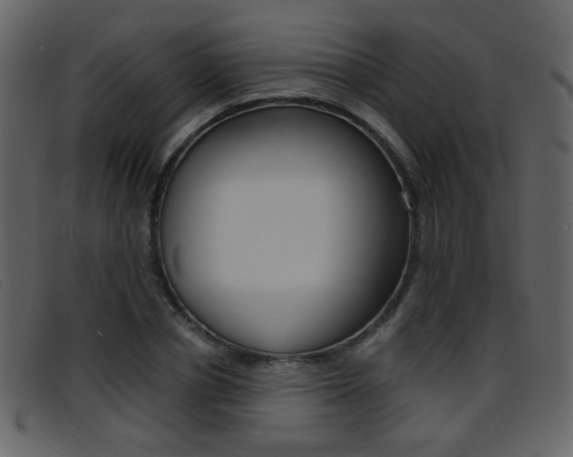 X0000096650834200802050932