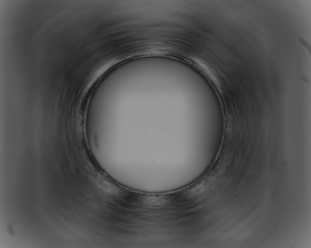 X0000096650835200802050932