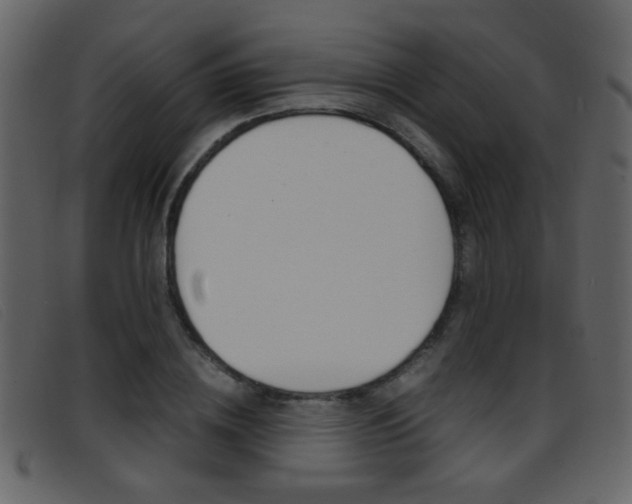 X0000096650836200802050932