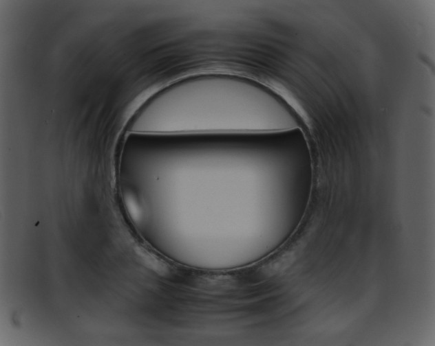 X0000096650837200802050932