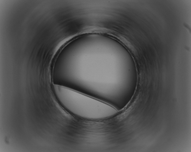 X0000096650838200802050932
