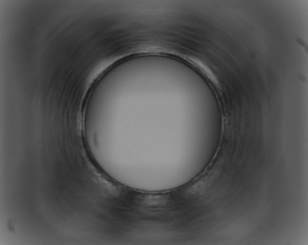 X0000096650839200802050932