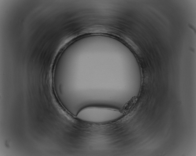 X0000096650840200802050932