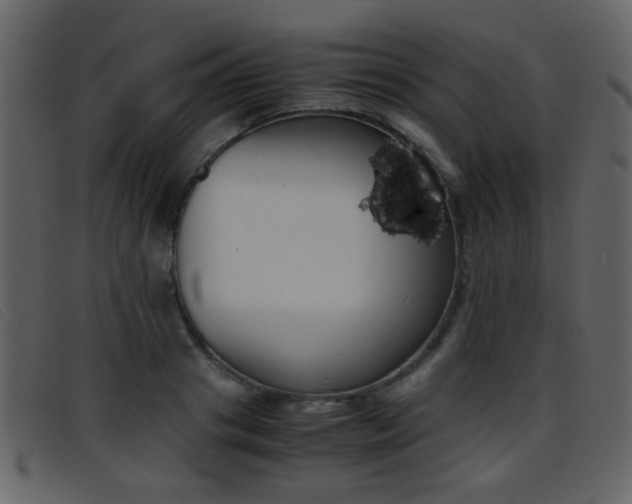 X0000096650841200802050932