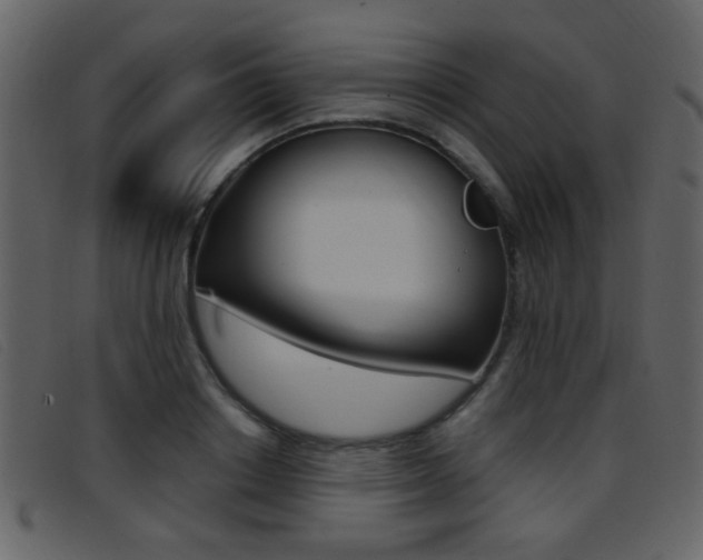 X0000096650842200802050932