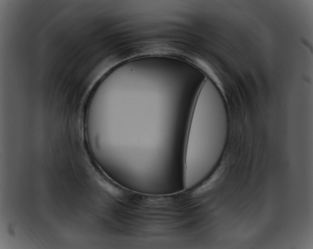 X0000096650843200802050932