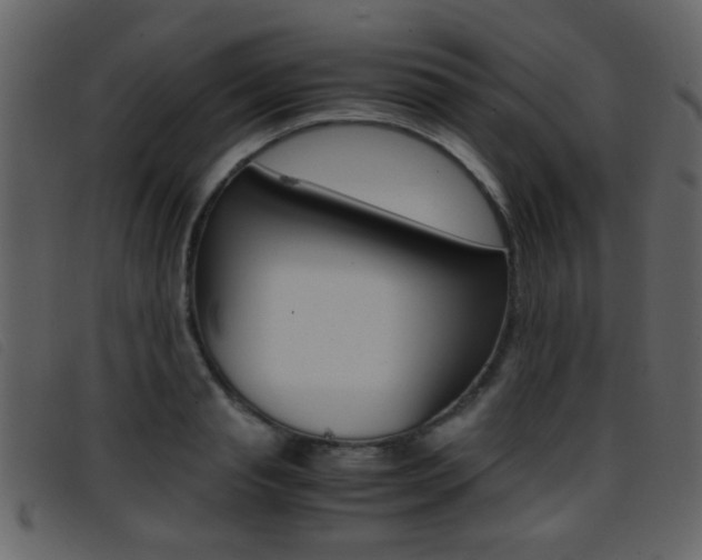 X0000096650845200802050932