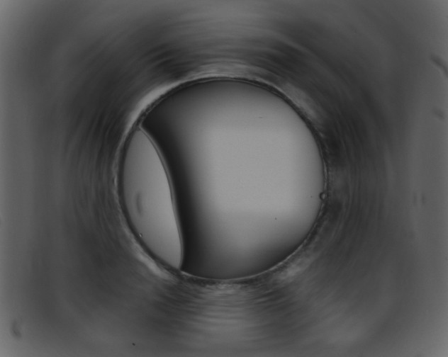 X0000096650846200802050932