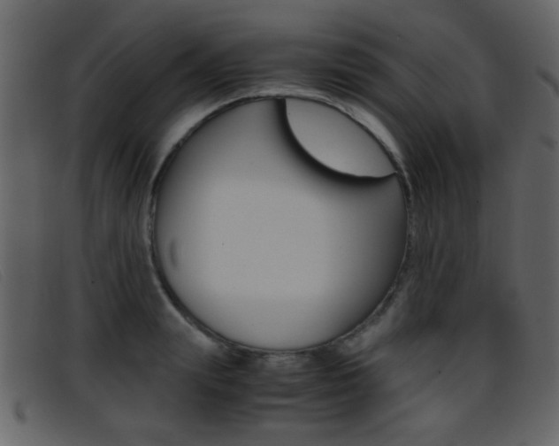 X0000096650847200802050932