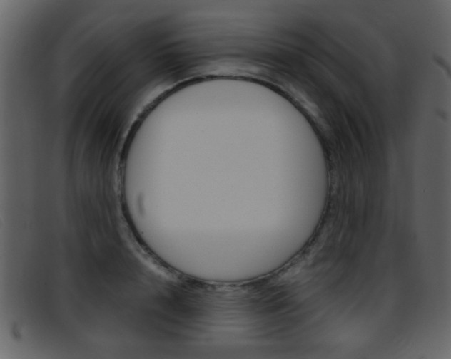 X0000096650848200802050932
