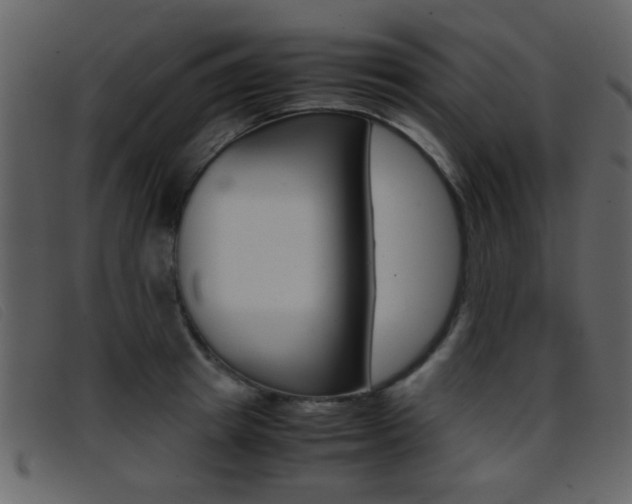 X0000096650849200802050932
