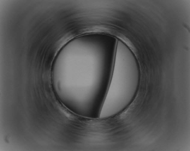 X0000096650850200802050932