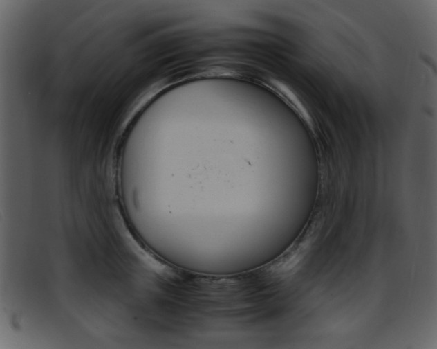 X0000096650851200802050932