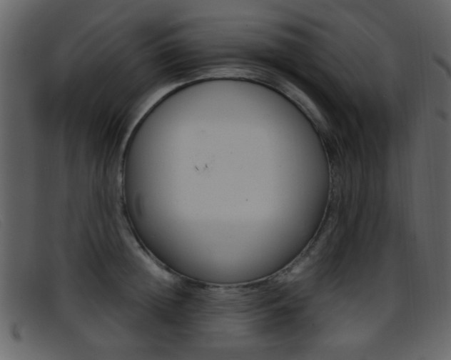 X0000096650852200802050932