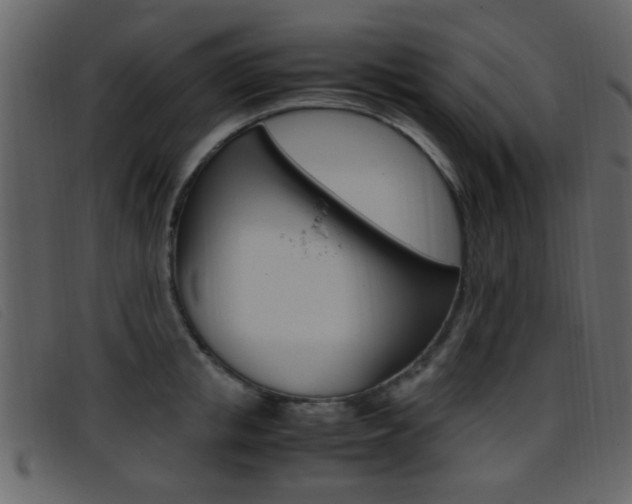 X0000096650853200802050932
