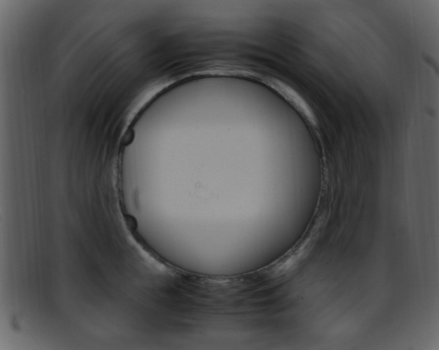 X0000096650855200802050932