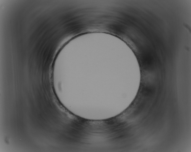 X0000096650856200802050932