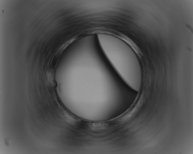X0000096650857200802050932