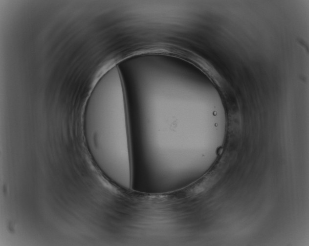 X0000096650858200802050932